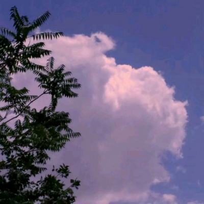 魔魂复苏单机游戏下载